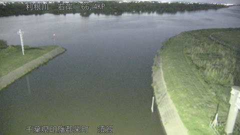 tonsu2026052922_image