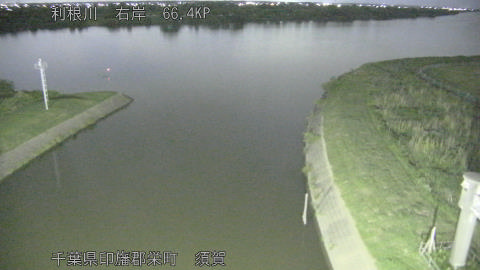 tonsu2026052923_image