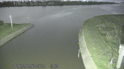 tonsu2026053000_image