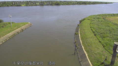 tonsu2026053009_image