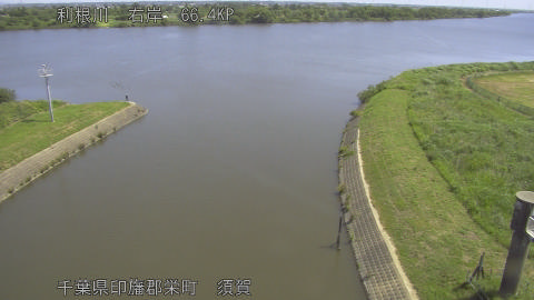 tonsu2026053010_image