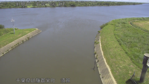 tonsu2026053011_image