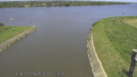 tonsu2026053012_image
