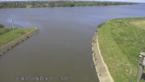 tonsu2026053014_image