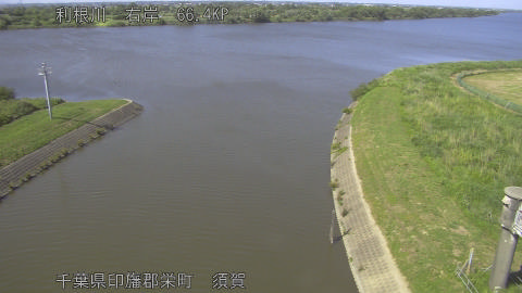 tonsu2026053015_image