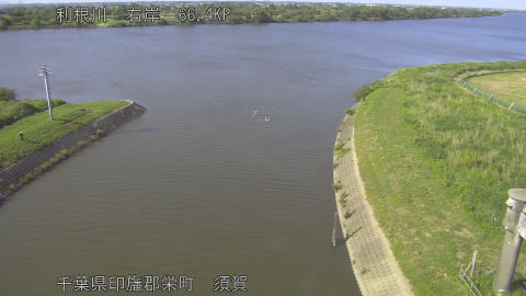 tonsu2026053016_image