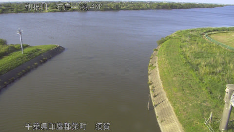tonsu2026053017_image