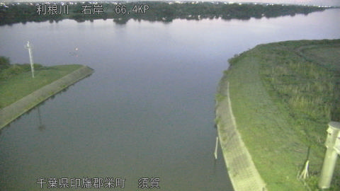 tonsu2026053104_image