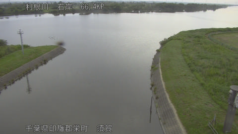 tonsu2026053106_image