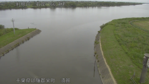 tonsu2026053110_image