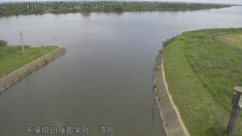 tonsu2026053111_image