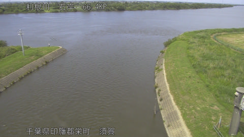 tonsu2026053114_image