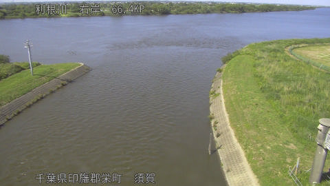 tonsu2026053115_image