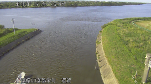 tonsu2026053117_image