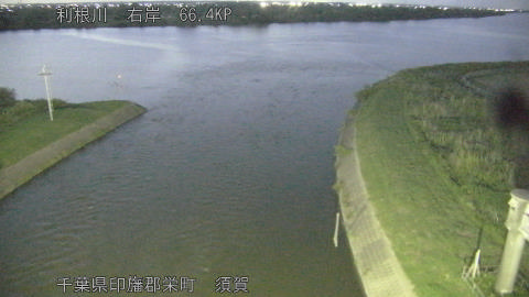 tonsu2026053120_image