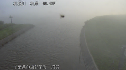tonsu2026060105_image