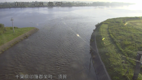 tonsu2026060106_image