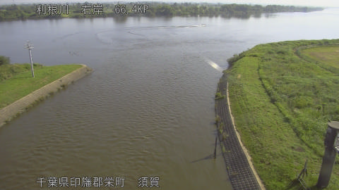 tonsu2026060108_image