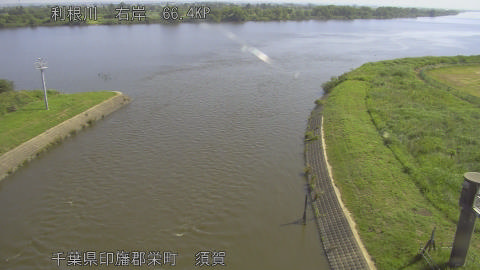 tonsu2026060109_image