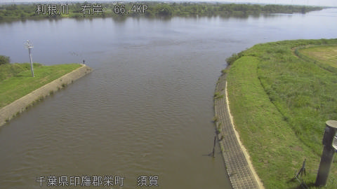 tonsu2026060110_image