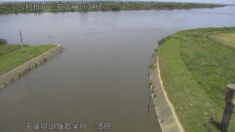 tonsu2026060112_image