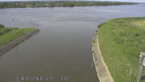 tonsu2026060115_image
