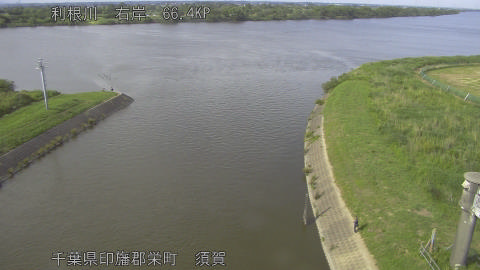 tonsu2026060116_image