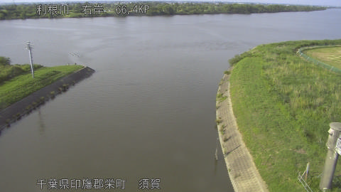 tonsu2026060117_image