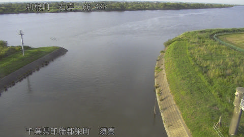 tonsu2026060118_image