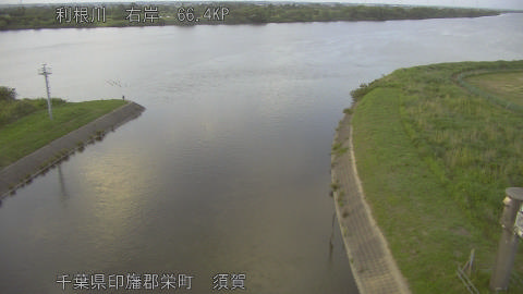 tonsu2026060119_image