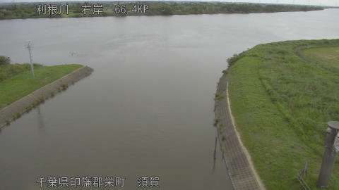 tonsu2026060208_image