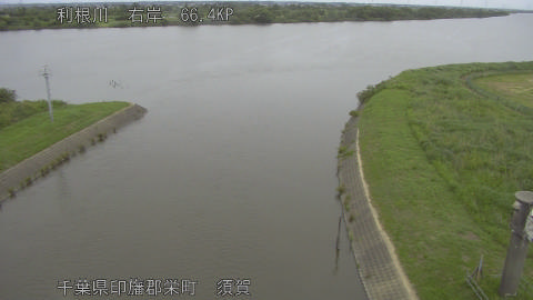 tonsu2026060210_image