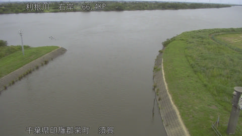 tonsu2026060211_image