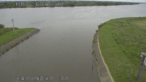 tonsu2026060213_image