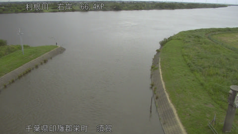 tonsu2026060216_image