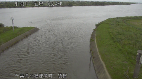 tonsu2026060218_image