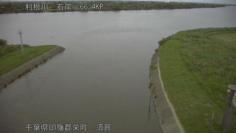 tonsu2026060219_image