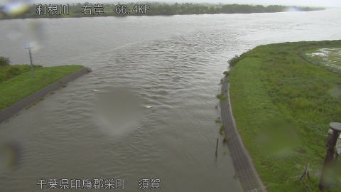 tonsu2026060312_image