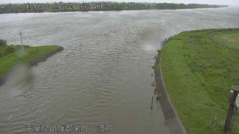 tonsu2026060314_image