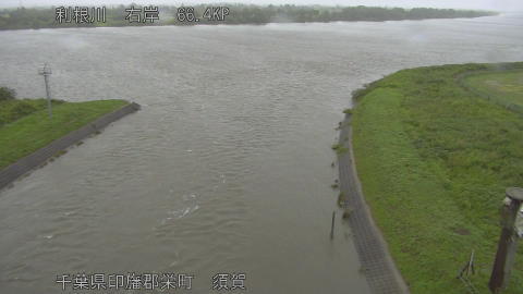 tonsu2026060317_image