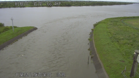 tonsu2026060318_image
