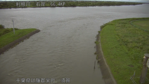 tonsu2026060319_image