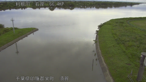 tonsu2026060406_image