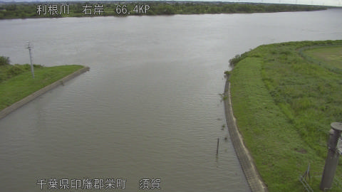 tonsu2026060408_image