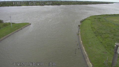 tonsu2026060409_image