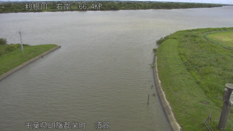 tonsu2026060410_image