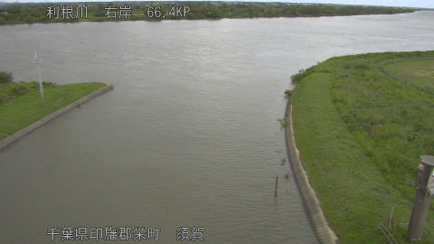 tonsu2026060411_image