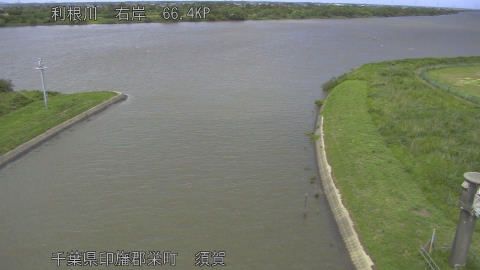 tonsu2026060413_image