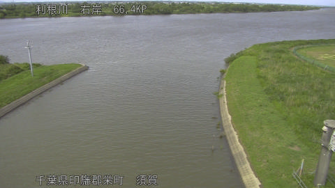 tonsu2026060414_image