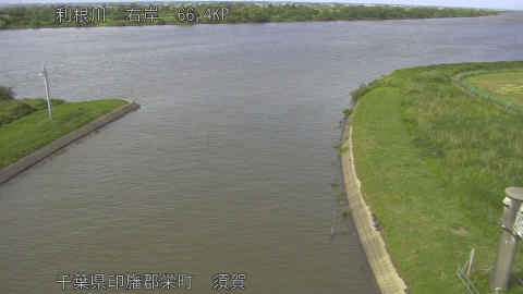 tonsu2026060415_image